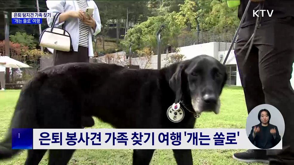 &#39;은퇴 봉사견&#39; 새 가족 찾기···&#39;개는 쏠로&#39; 프로젝트