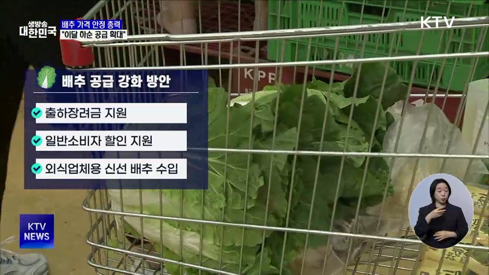 배추 가격 안정 총력···&#34;이달 하순 공급 확대&#34;