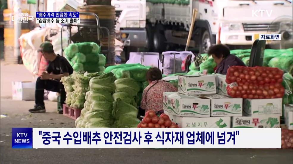 &#34;배추가격 안정화 속도···김장배추 등 조기 출하&#34;
