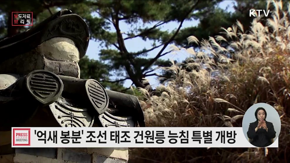 억새 절정기 건원릉에서 조선왕릉의 역사를 만나다