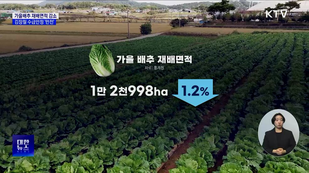 가을배추 재배면적 감소···김장철 수급안정 &#39;만전&#39;