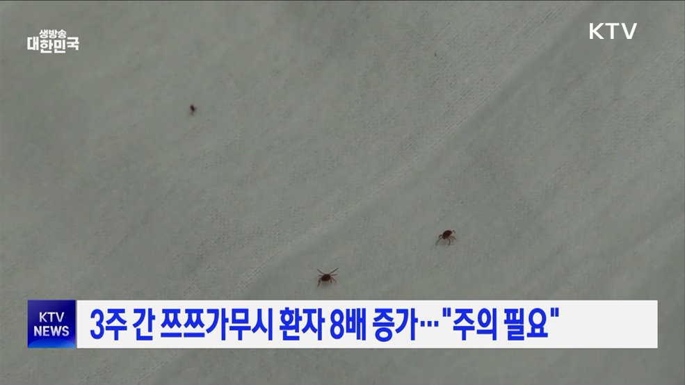 3주 간 쯔쯔가무시 환자 8배 증가···"주의 필요"
