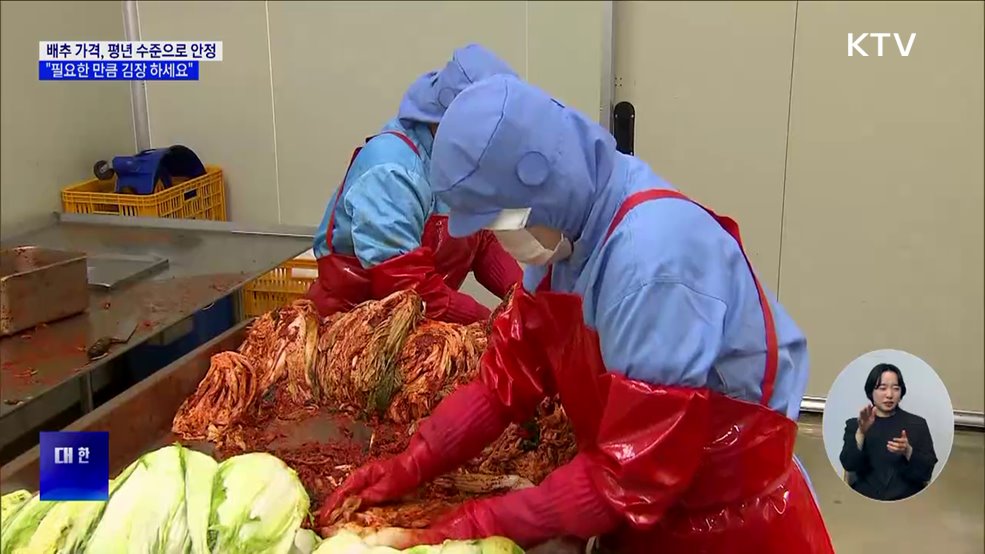 배추 가격, 평년 수준으로 안정···&#34;필요한 만큼 김장 하세요&#34;