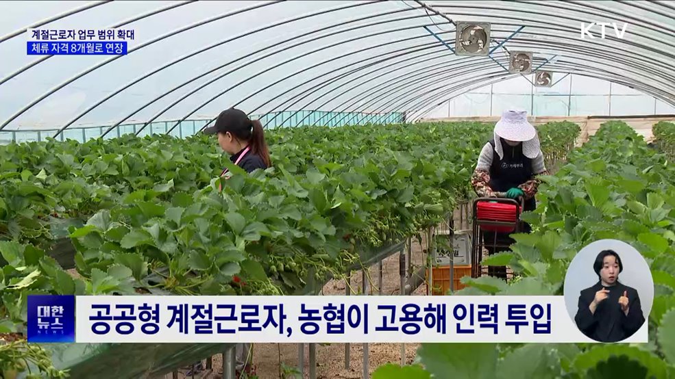 외국인 &#39;계절근로자&#39; 업무 범위 확대···체류 자격 상한 연장 [정책현장+]