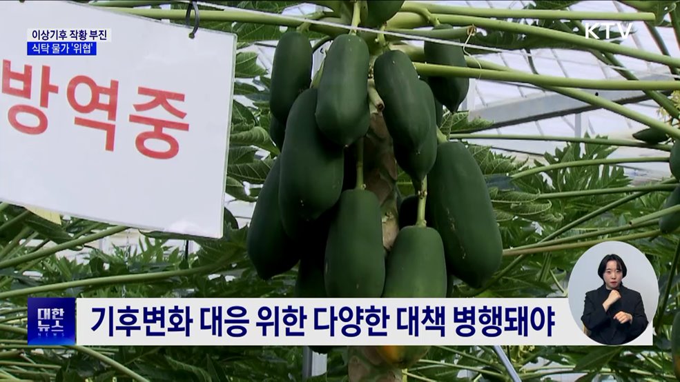 이상기후로 작황 부진···식탁 물가 &#39;위협&#39; [현장고발]