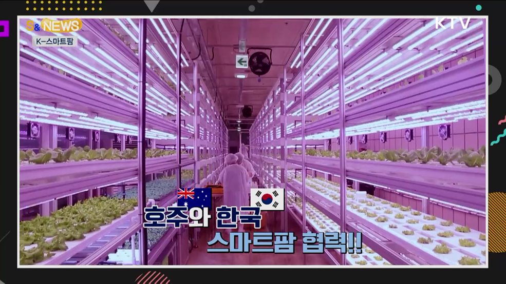 온실 아닌 노지에서도 스마트농업이? [S&#38;News]