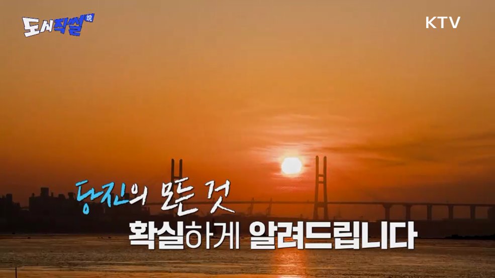 도시직썰