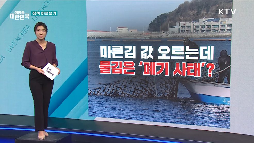 마른김 값 오르는데, 물김은 '폐기 사태'? [정책 바로보기]