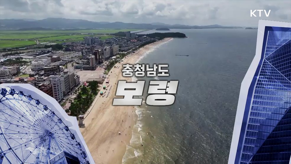 충청남도 보령