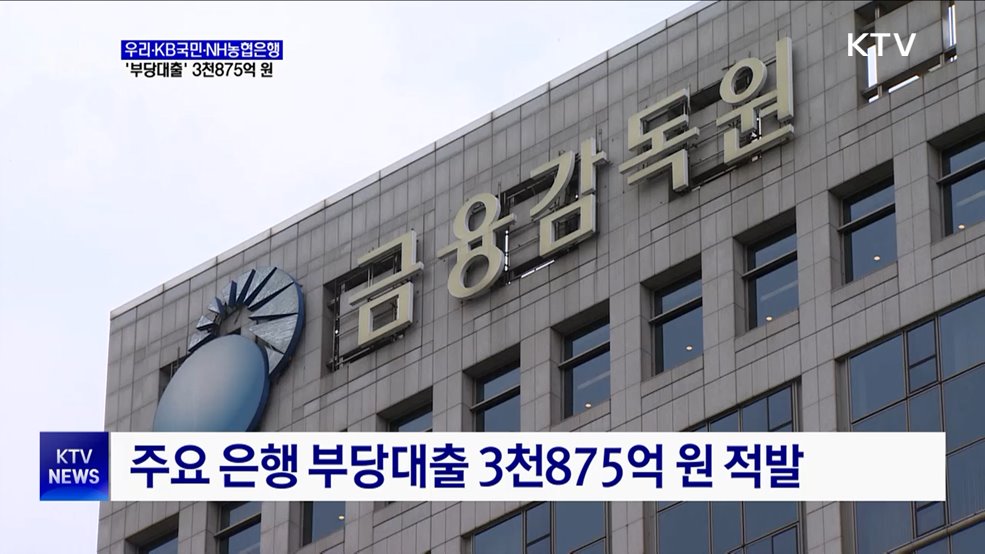 우리·KB국민·NH농협 &#39;부당대출&#39; 3천875억 원 적발