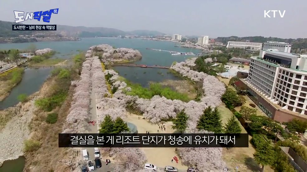 경상북도 청송