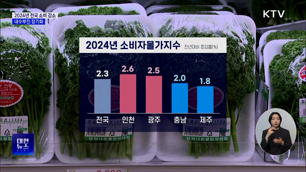 지난해 전국서 소매판매 &#39;감소&#39;···내수 부진 장기화