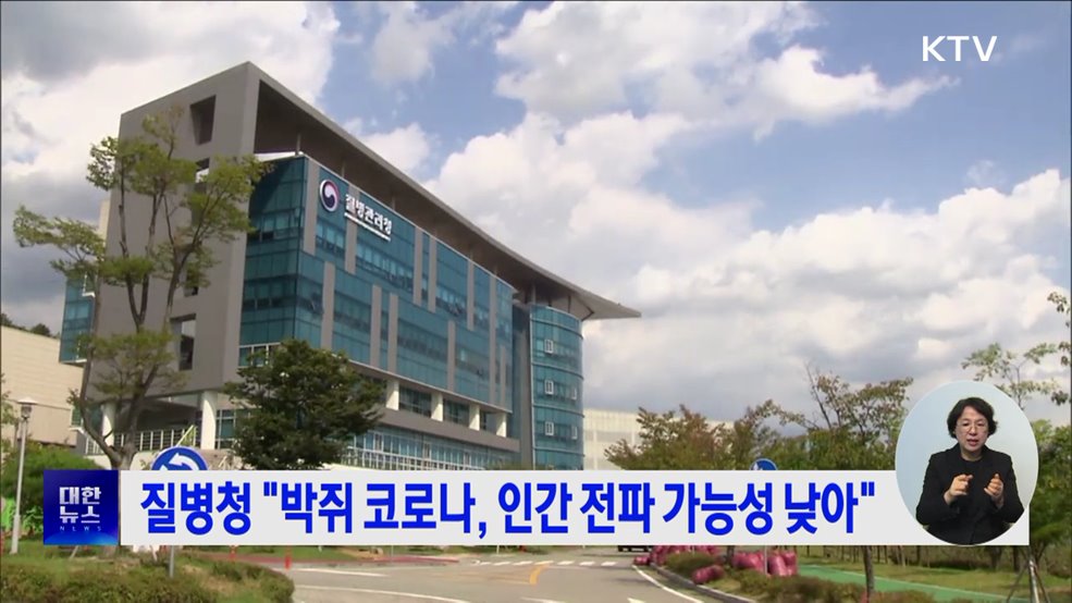 질병청 &#34;박쥐 코로나, 인간 전파 가능성 낮아&#34;
