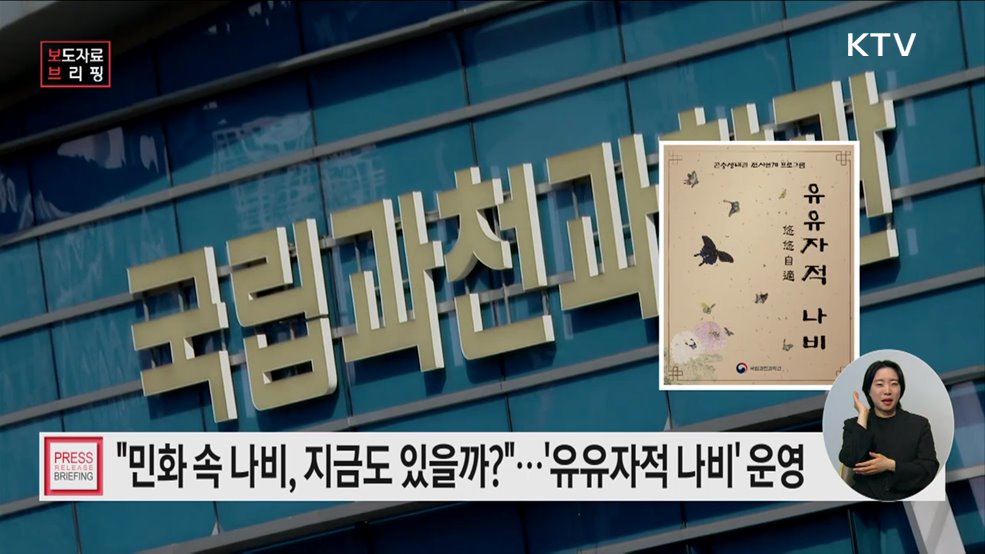 나비의 시간여행, &#39;유유자적 나비&#39; 프로그램 운영