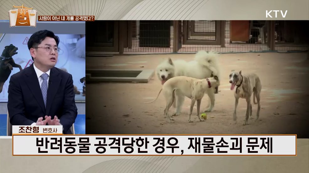 잘 사는 법(法) (22회)