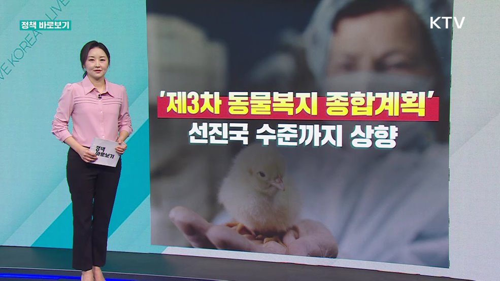 정책 바로보기 (607회)