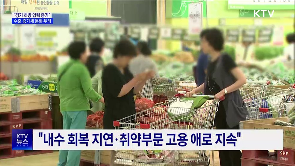 경기 하방압력 증가···수출 증가 둔화 우려 진단