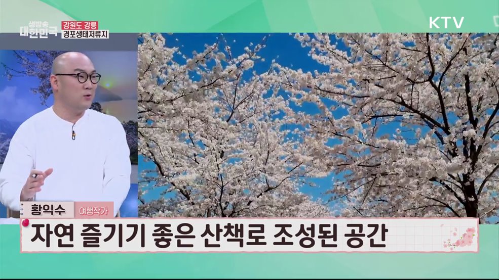 걷기 좋은 봄 여행 &#60;강원도편&#62;국내 가장 아름다운 봄 명소 [여행을 떠나요]