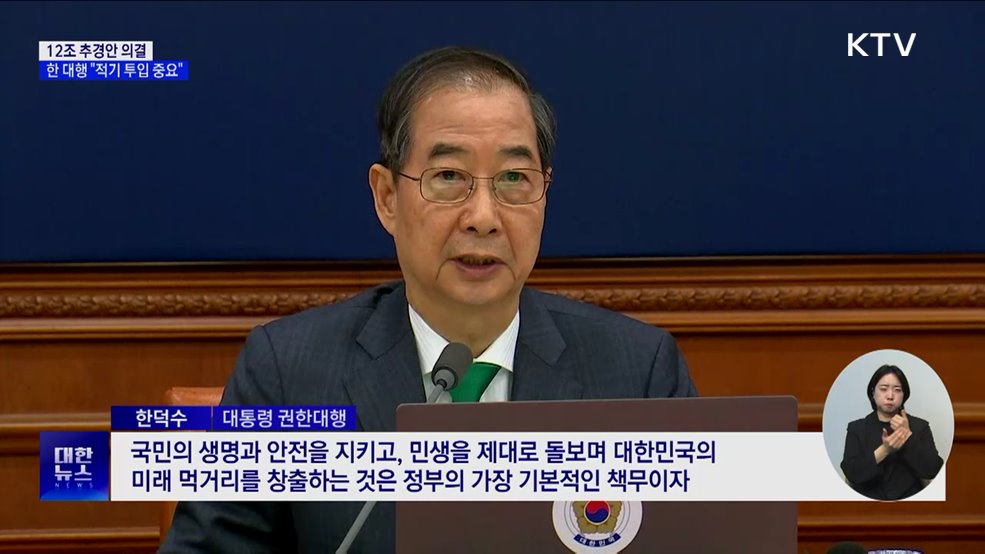 12조 추경안 의결···한 대행 &#34;적기 투입 중요&#34;