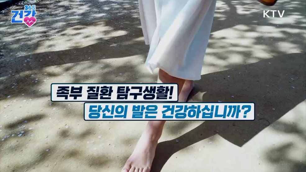 건강 365 (27회)