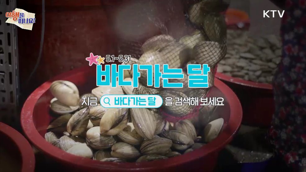 여행을 떠나요