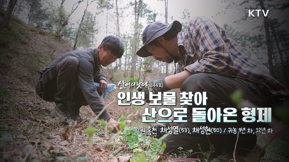 인생 보물 찾아 산으로 돌아온 형제