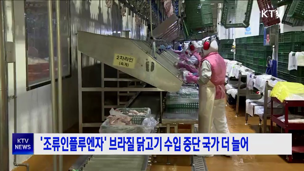 &#39;조류인플루엔자&#39; 브라질 닭고기 수입 중단 국가 더 늘어