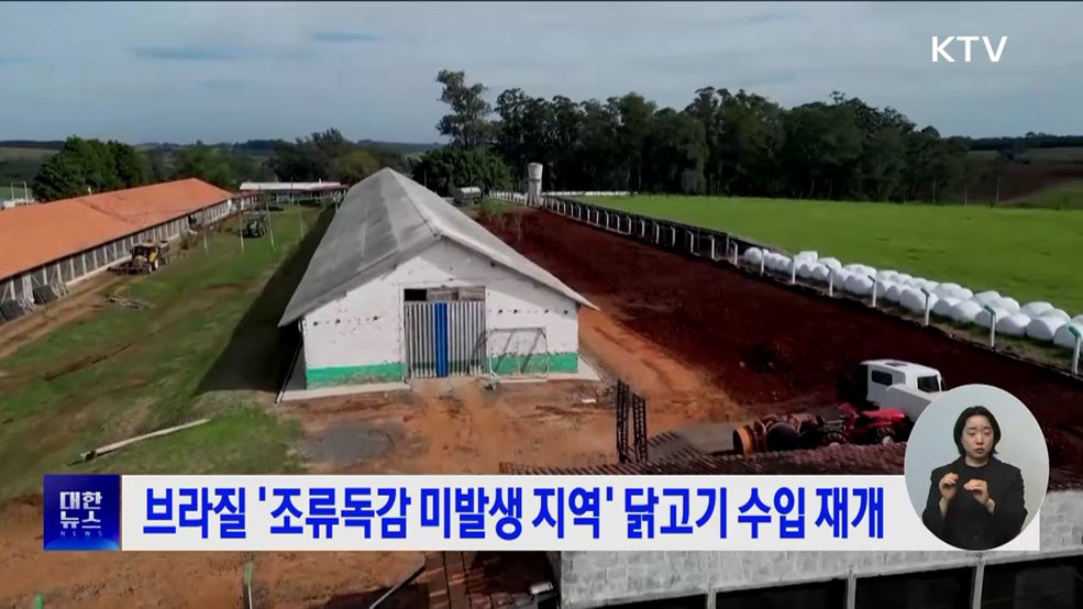 브라질 &#39;조류독감 미발생 지역&#39; 닭고기 수입 재개