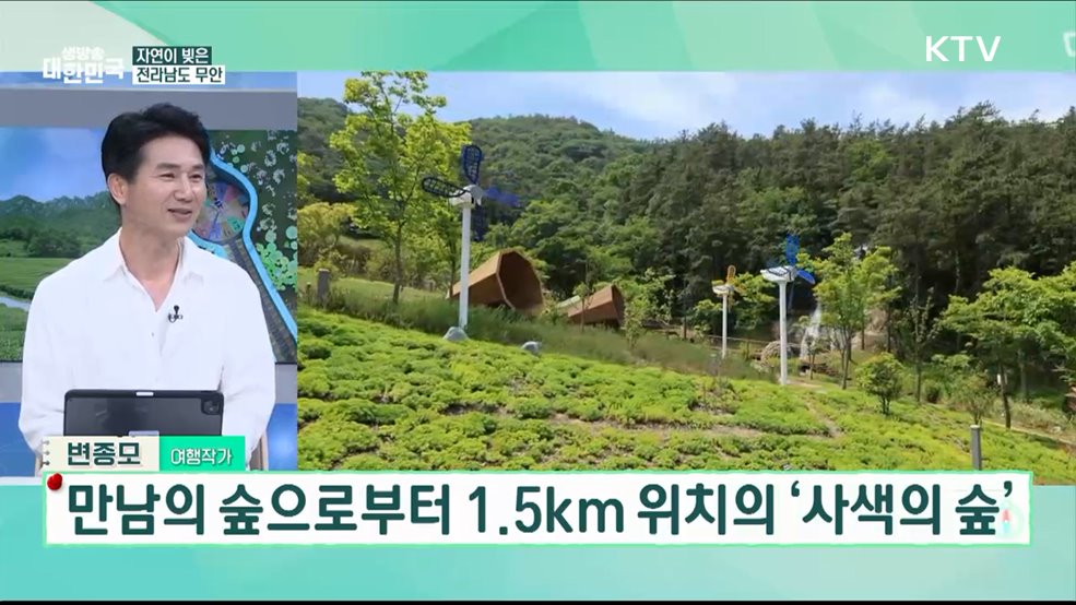 여름맞이 숙박세일페스타 본편 내수 살리는 국내여행! [여행을 떠나요]