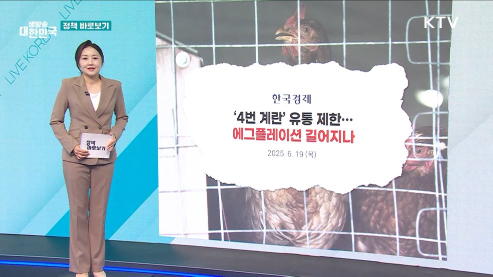 농식품부 &#34;4번 계란 지속 생산 가능···안정적 수급관리 추진&#34; [정책 바로보기]
