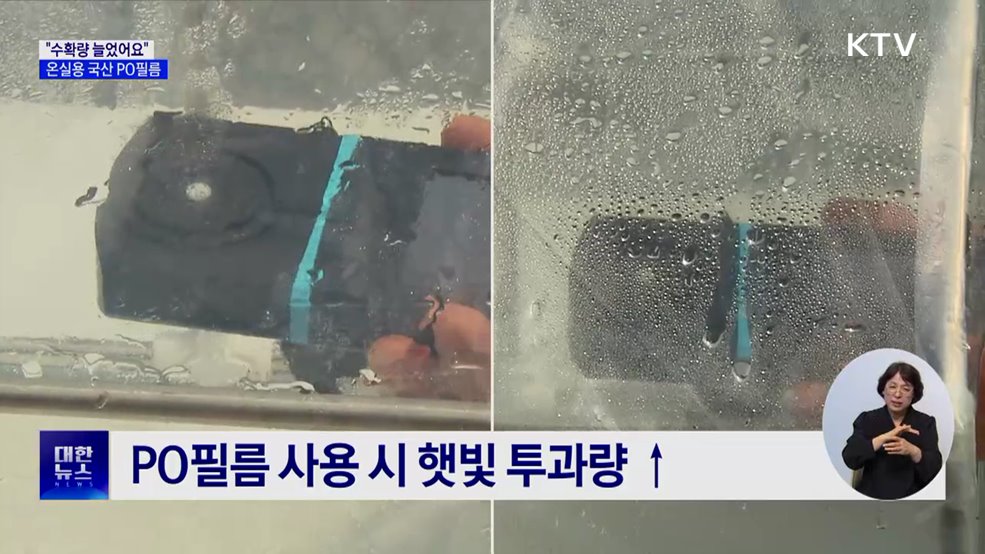 물 맺히지 않는 비닐하우스···온실용 &#39;국산 PO필름&#39; 기대