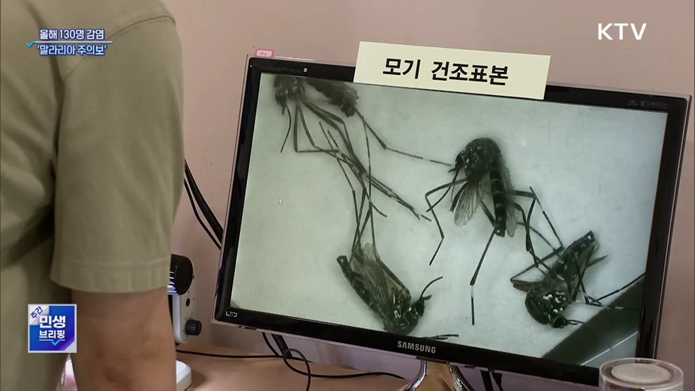 올해 130명 감염···전국 &#39;말라리아 주의보&#39; 발령