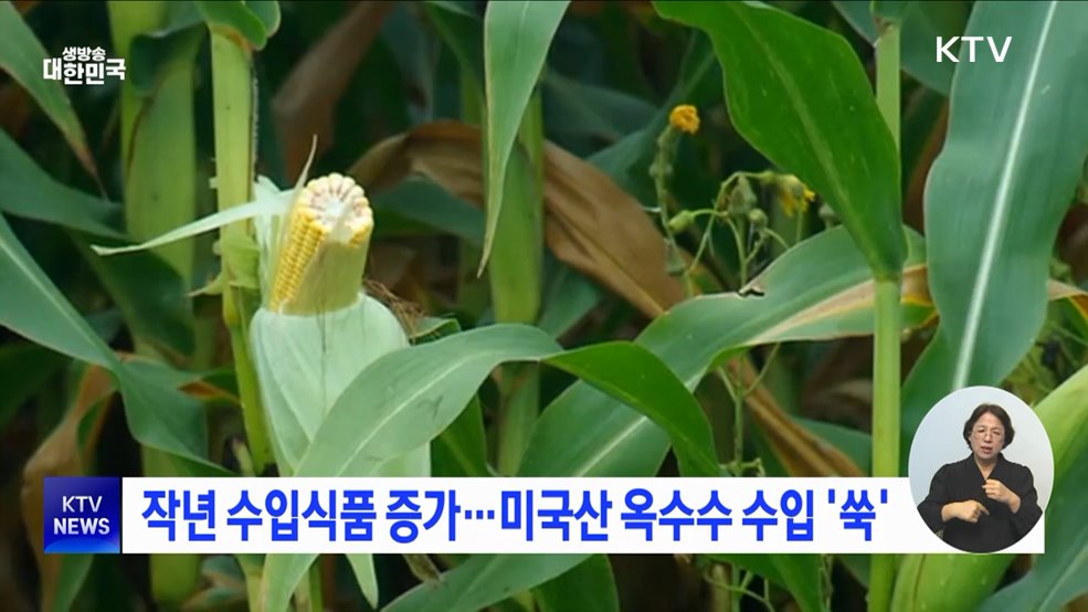 작년 수입식품 증가···미국산 옥수수 수입 &#39;쑥&#39;