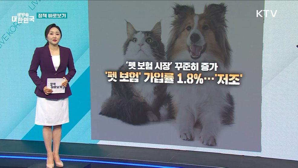 농식품부 "반려동물 진료 표준화 등 펫보험 활성화 기반 마련 중" [정책 바로보기]