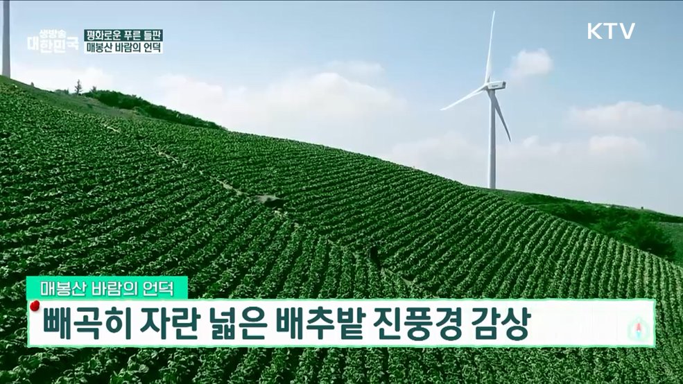 7월에 떠나는 알록달록 여름여행! 대한민국 자연경관 명소 [여행을 떠나요]