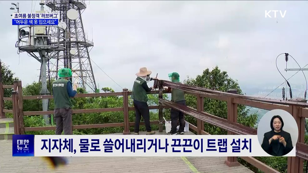 러브버그 피하려면? &#34;어두운 색 옷 입으세요&#34;