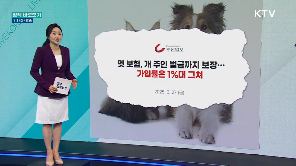 농식품부 &#34;반려동물 진료 표준화 등 펫보험 활성화 기반 마련 중&#34;