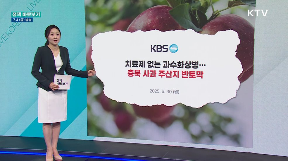 농진청 &#34;충북 사과 주산지 반토막? 사실과 달라&#34;