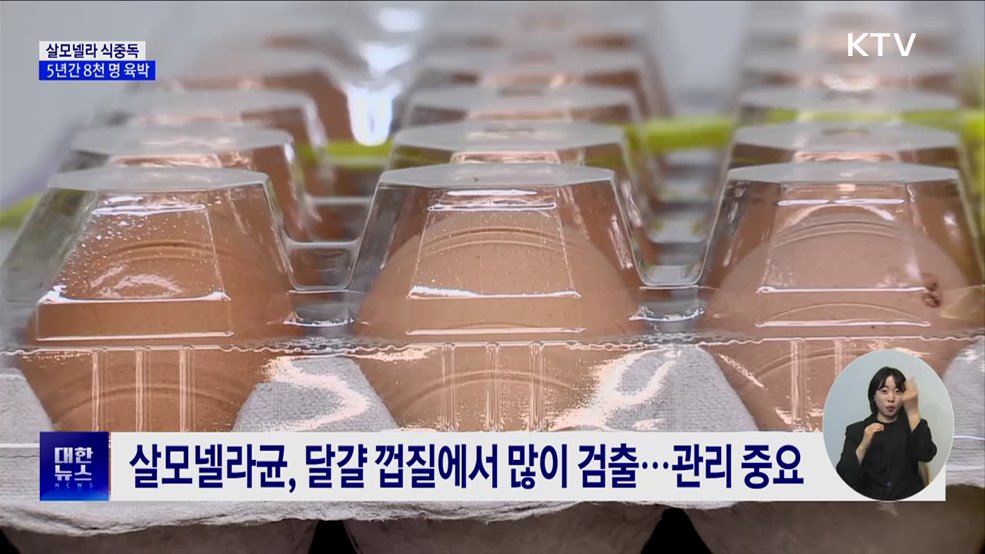 여름철 달걀 관리 아차하면 &#39;살모넬라 식중독&#39;