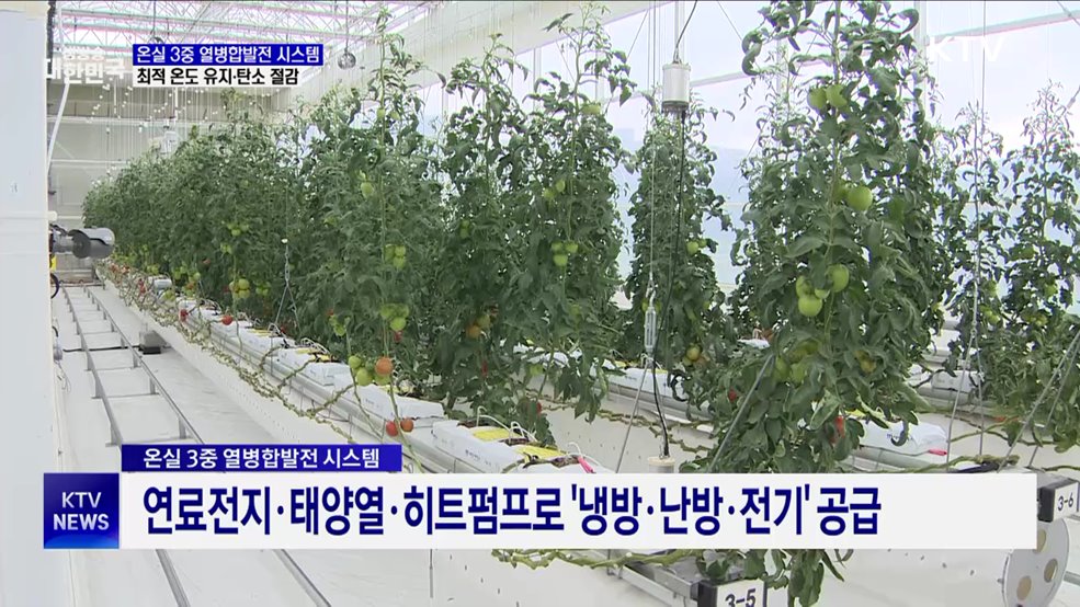 신재생에너지 활용 &#39;스마트 온실&#39;···온도 유지·탄소 절감