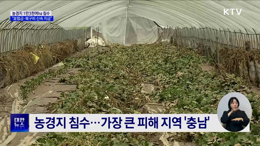 '축구장 1만8천개' 논밭 침수···"복구비 신속 지급"