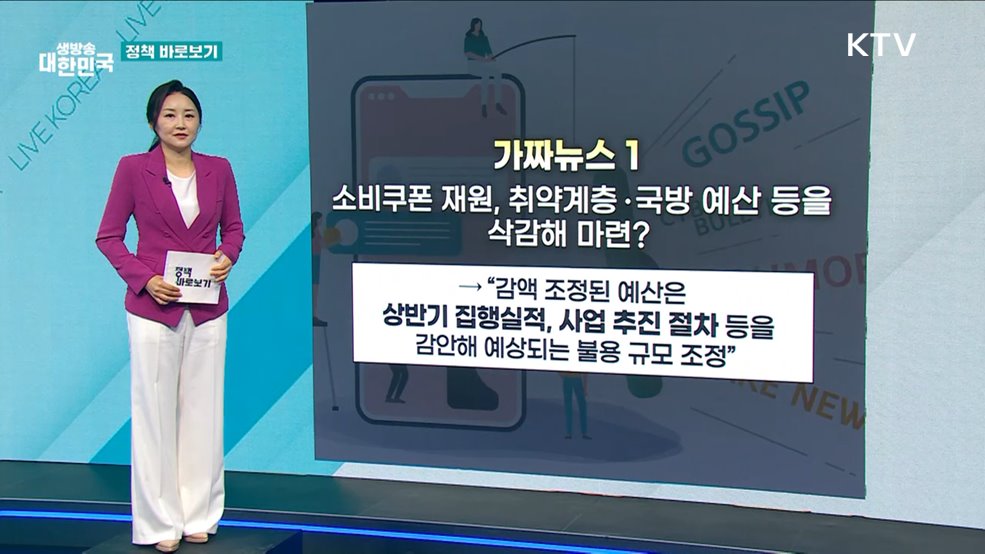 정부 &#34;필수예산 삭감해 소비쿠폰 재원 마련? 전혀 사실 아냐&#34; [정책 바로보기]
