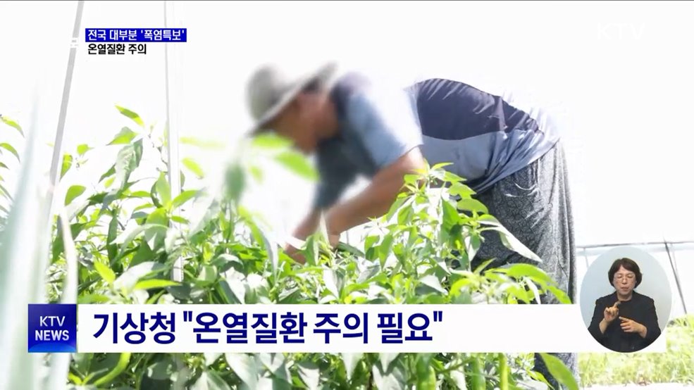 전국 대부분 &#39;폭염특보&#39;···온열질환 주의