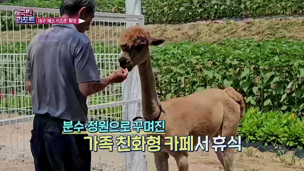 아이와 편하게 이용, 대구 '예스 키즈존' 확대