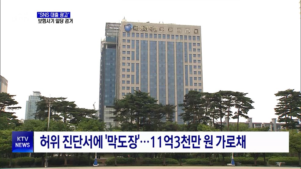 &#39;SNS 대출 광고&#39; 보험사기 32명 검거