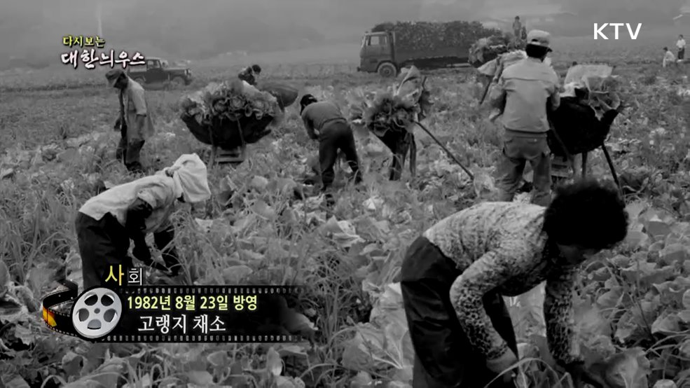 다시보는 대한늬우스 (82. 8. 23.) 이미지