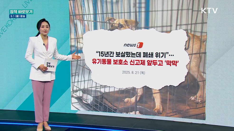 농식품부 &#34;민간동물보호시설 정상화 위해 지속 지원&#34;