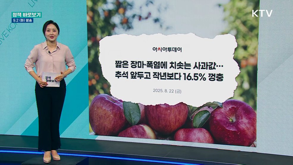 &#34;햇사과 출하량 확대···사과 공급 안정세, 추석 성수기에도 충분&#34;