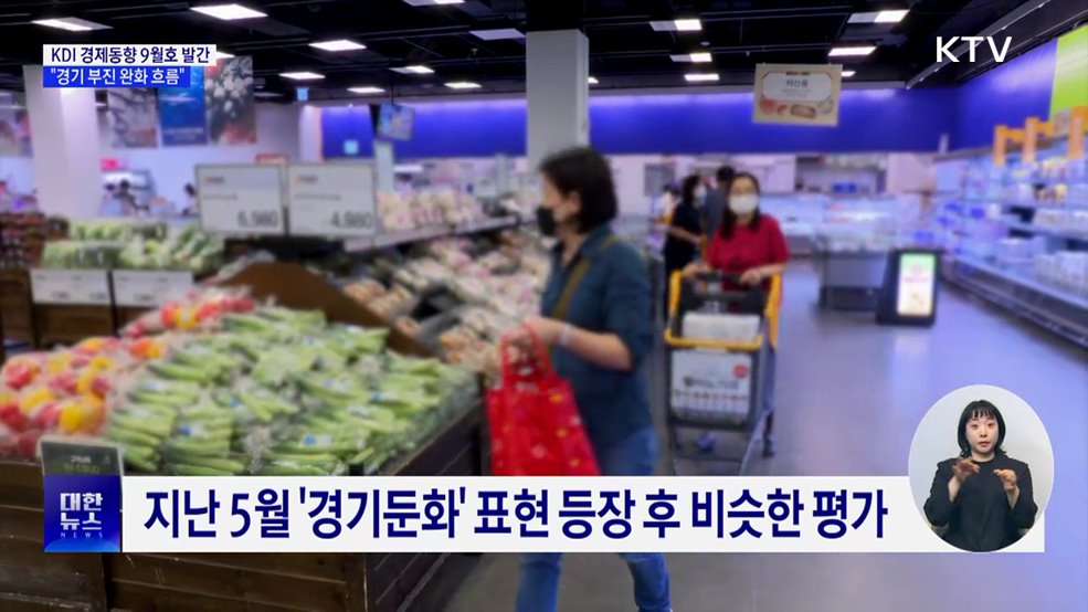 KDI &#34;경기 부진 완화 흐름&#34;···대미 수출 8.1&#37; 감소