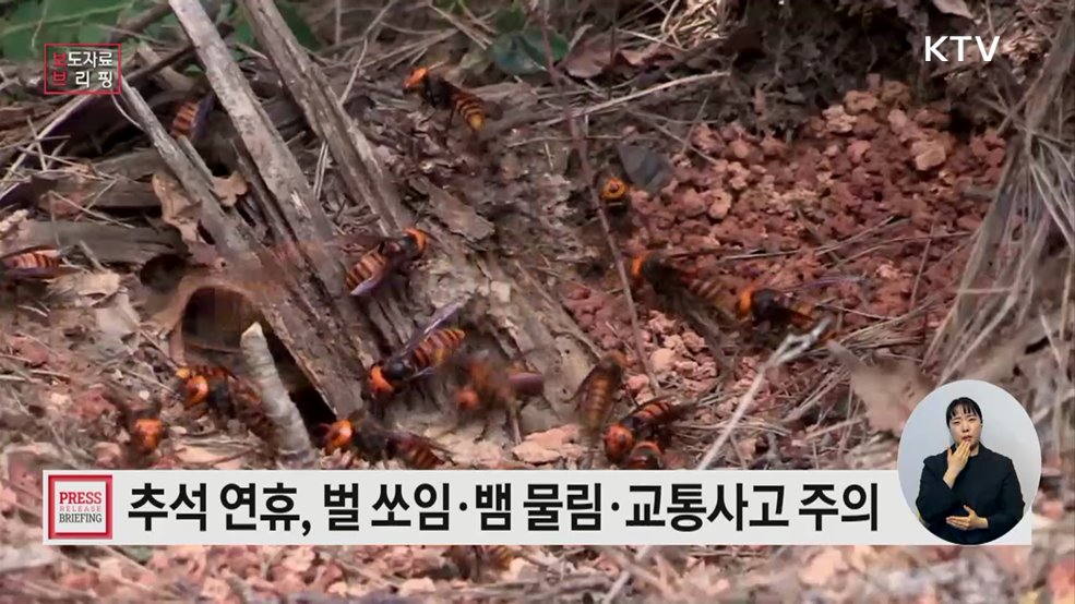벌 쏘임, 뱀 물림, 예초기 사고 등 &#34;추석 연휴 앞두고 안전사고 조심해야&#34;